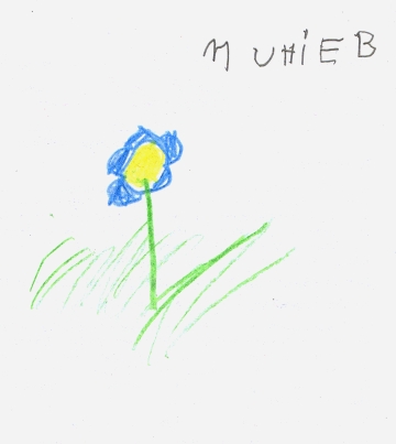 Gazablume-Muhieb